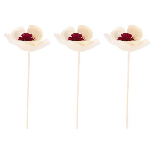 3 difusores de aroma de flores, palitos de madera, flores aromáticas