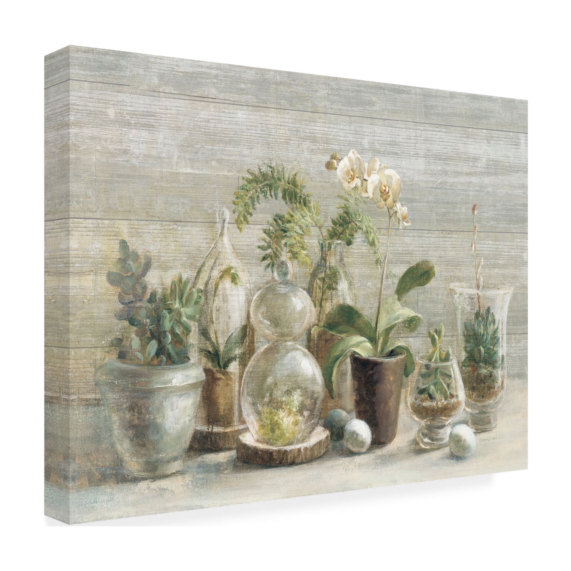 Trademark Fine Art 'Greenhouse Orchids on Wood' Canvas Art by Danhui Nai