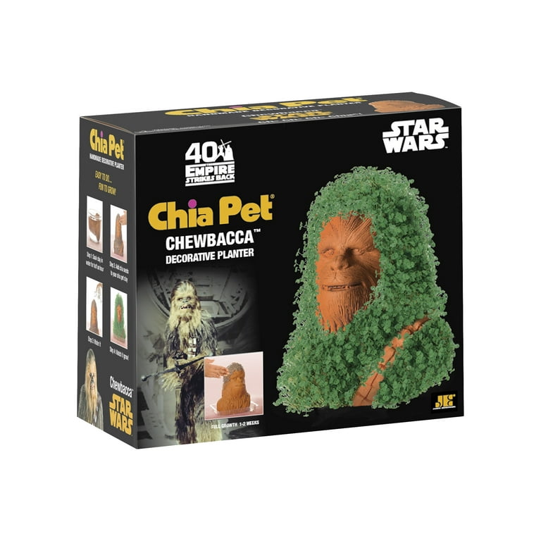 Chia Pet® Star Wars™ The Mandalorian Decorative Planter, 1 ct - Ralphs