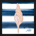 thumbnail image 3 of Great Art Now Nautical Shell A by Julie DeRice, 2 Piece Framed Art Set Each 13"W x 13"H, 3 of 3