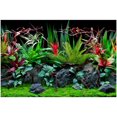 thumbnail image 3 of Marina Double Sided Aquarium Background, Jungle Flora and Red Lace, 12" x 24", 3 of 4