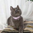 thumbnail image 3 of 1 Pc Adjustable Dog Traction Collar Creative Bell Pet Neck Ring Practical Puppy Collar Fashion Cat Collar (Gradient Color), 3 of 7