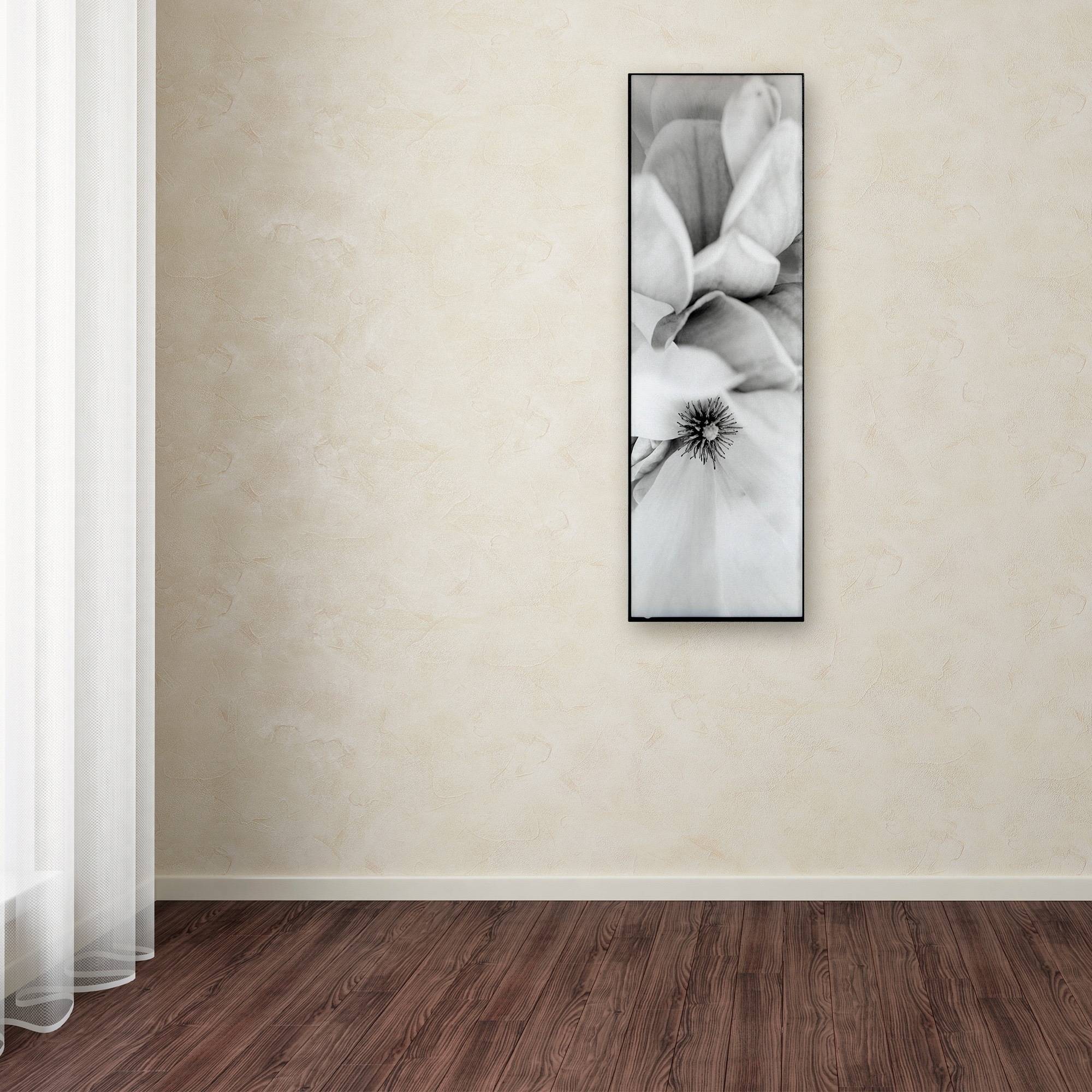 Trademark Fine Art Alan Blaustein 'Magnolia II' Canvas Art