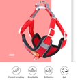 thumbnail image 3 of Reflective Dog Harness No Pull Cute Pet Soft Walking Leash Set Adjustable Dogs Harnesses Vest Chihuahua For Small Medium Dogs, 3 of 5