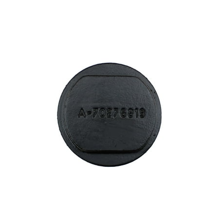 RAParts One New Aftermarket Replacement Hub Cap Fits  70276819 70276819-A