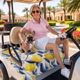 thumbnail image 3 of Golf Cart Seat Covers for 2 Seater,Yellow Lemon Microfiber Cart Seat Towel Blanket,Blue Leaf Vintage Botanical Summer Spring Absorbent Breathable NonSlip Bench Seats Protector for Golf Course 51"x31", 3 of 9