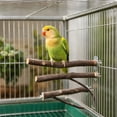 thumbnail image 4 of Bird Perch, Natural Wood Rest for Parrot Cage, Chewable Tree Branch for Small Birds 2x tree branches, 4x straight poles, 2x platforms, 4 of 6