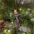 thumbnail image 5 of Cobane Studio Pileated Woodpecker Ornament - Blown Glass Bird Ornament for Christmas and Home Decor - Hand Painted and Dusted with Glitter, 5 of 6