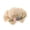 Beige, variant on AJGRHE Kids Girls Summer Hat Bag Set Wide Brim Sun Hats With Woven Bag Sun Beach Hats Sunhat Floral Tea Party Cap Pink One Size