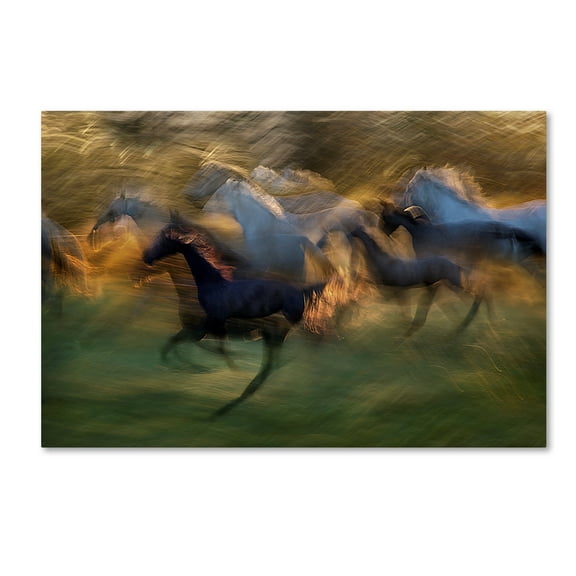 Milan Malovrh 'Fiery Gallop' Canvas Art