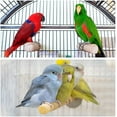 thumbnail image 4 of Lunfar 16x1x16cm Wood Bird Perch, 1 Set Paw Stick Grinding Rope Weaving Wood Stand Cage Accessory for Small Bird Parrot Dove Parakeet Ladybug, 4 of 5