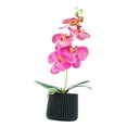 thumbnail image 2 of Planta de Phalaenopsis en Maceta, Decoración para Mesa, Bonsái Artificial para Hogar Y Oficina., 2 of 9