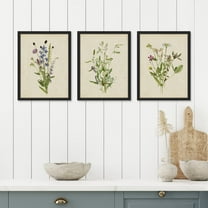 PixonSign Framed Canvas Print Wall Art Set - Vibrant Green Purple Wildflower Trio Poster Arts - Set of 3 Botanical Floral Colorful Wall Décor for Living Room, Bedroom, Office - 8"x10" Black