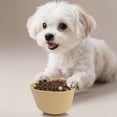 thumbnail image 4 of mdesiwst Silicone Pet Slow Feeder Bowl Anti-Choking Non-slip Easy Clean Slow Down Eating Food Bowl for Small Medium Large Breed Dogs Cats, 4 of 8