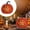 A, variant on Clearance Sale | Glittering Pumpkin with Floral Insert Night Light, Plastic Halloween Tabletop Decor for Indoor Outdoor