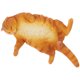 thumbnail image 4 of ColoMX Modelo de animales gatos Simulación de modelo de gato real, 4 of 7