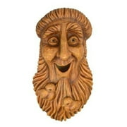 Faces Bird House St.Francis