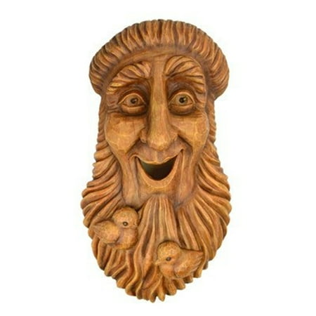 Faces Bird House St.Francis