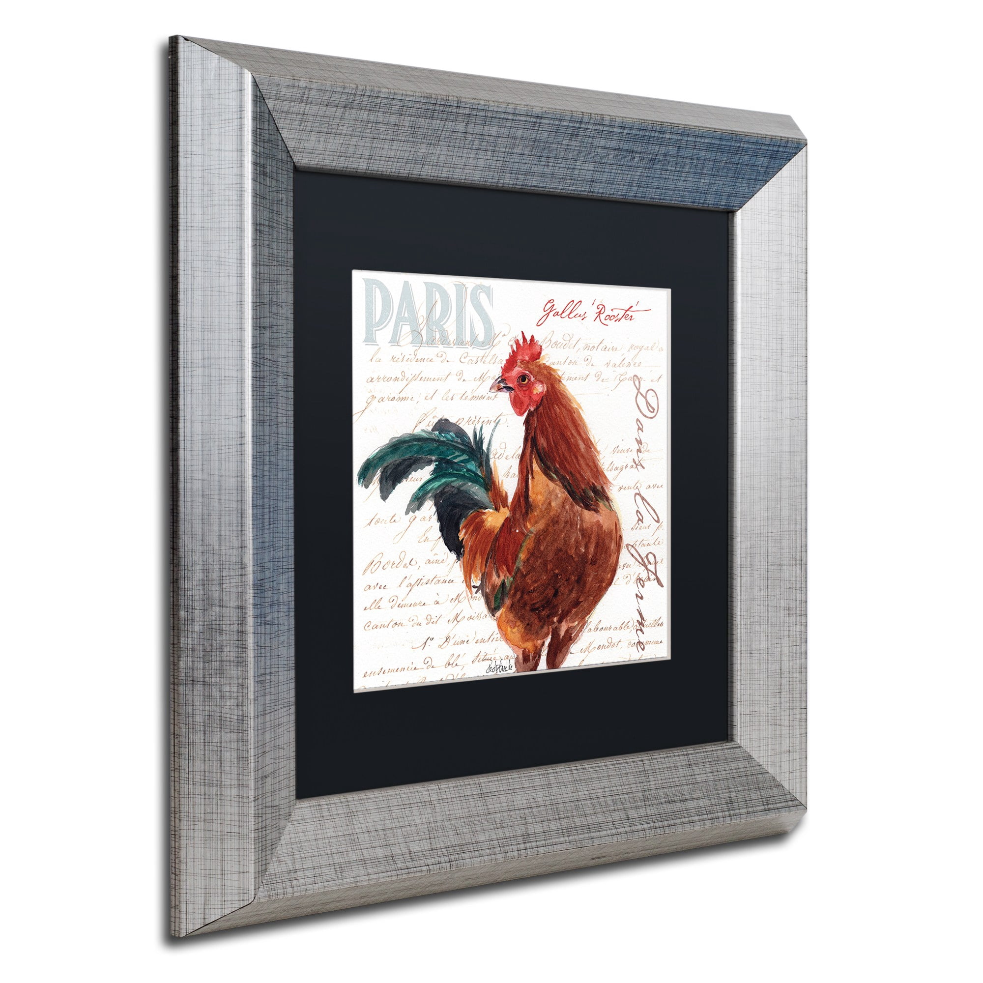 Trademark Fine Art "Dans la Ferme Rooster II" Canvas Art by Jennifer Redstreake Black Matte, Silver Frame