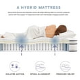 thumbnail image 2 of Modway Jenna 12" Innerspring and Foam Twin Mattress in White, 2 of 10