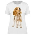 thumbnail image 1 of Cute Beagle Pup Looks Up T-Shirt Women -Image by Shutterstock, Female Medium, 1 of 2