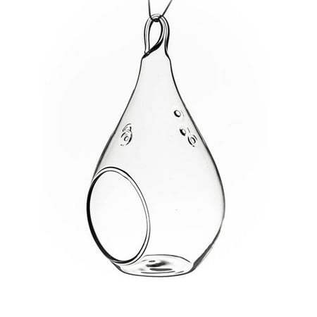 WGV Clear Hanging Pear Glass Terrarium / Candle Holder - 3" Wide x 5.5" Height, Good quality Terrarium - 1 Pc