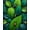 Green, Pattern 1, variant on Flatwoven High Traffic Area Rug, Artful Insect Flora Motif, Non Slip, Stain Resistant, Washable Area Rugs for Living Room, Bedroom(Green, 3X5)