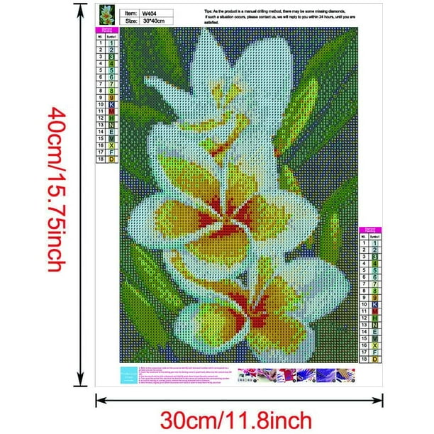 Diamond Painting Kit for Adults,Valentines Diamond Painting Kits Frangipani  Full Drill 5D Valentines Diamond Art Kits Painting Wall Home Decor 30x40cm  Birthday Present : : Home & Kitchen