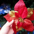 thumbnail image 6 of 10 Pack Glitter Poinsettia Flowers – Gold Christmas Tree Ornaments for Xmas Decor, Wreaths & Garland – Festive Holiday Wedding & Navidad Decorations for Home & Party, 6 of 6