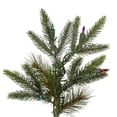 thumbnail image 2 of Vickerman 6' Shawnee Fir Artificial Christmas Tree, Multi-Colored Incandescent Dura-lit Lights, 2 of 4
