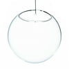 WGV Clear Half Round Wall Hanging Terrarium - 7" Wide x 5" Height, Good quality, Heavy Weighted Base - 1 Pc