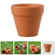 thumbnail image 5 of 12 Uds. Macetas pequeñas de terracota con agujeros de drenaje, Mini macetas de arcilla para plantas de interior, flores suculentas, macetas de arcilla para jardín y guardería, 5 of 6