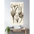 thumbnail image 2 of Botanical Bones Poster Wall Art, Modern Wall Decor For Living Room Bedroom, 12x18 UNFRAMED, 2 of 3