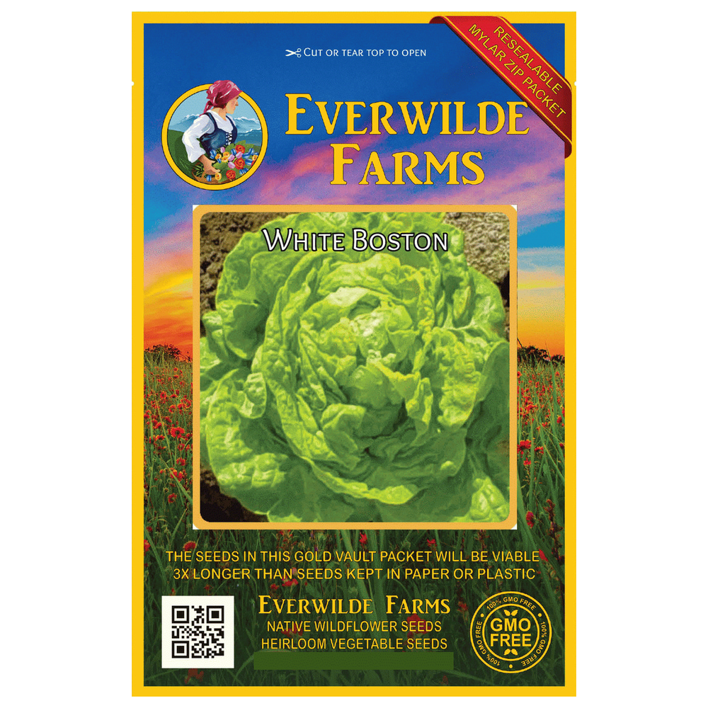 Everwilde Farms 1000 White Boston Butterhead Lettuce Seeds Gold