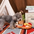 thumbnail image 2 of Hugsmart Cheese Board Dog Plush Toy, 2 of 6