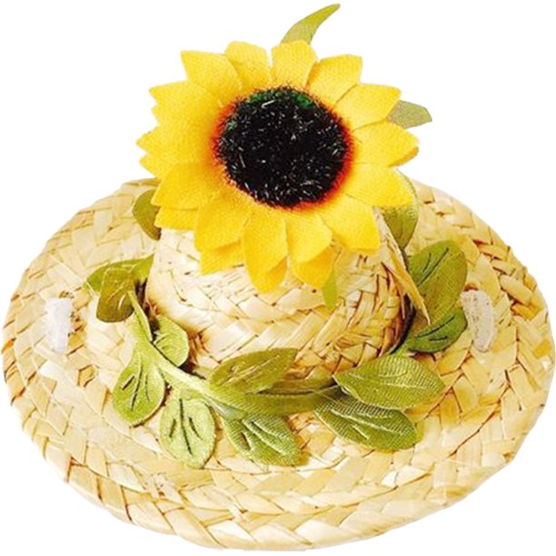 Sombrero de cachorro doméstico para el desgaste de la masa resistente a la masa para perros gat de tejido decorativo suministro de cachorros
