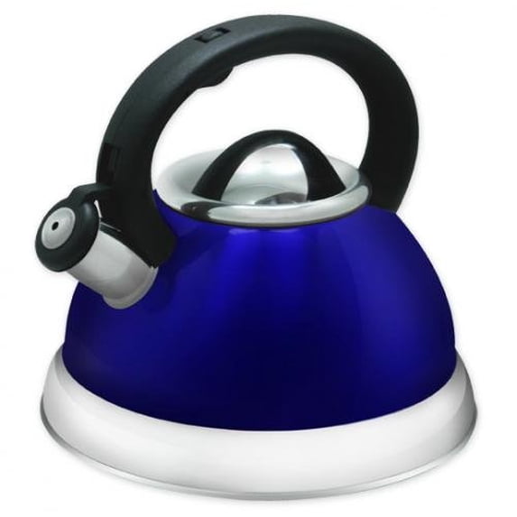 Stainless Steel Tea Kettle (2.8 L, Blue)