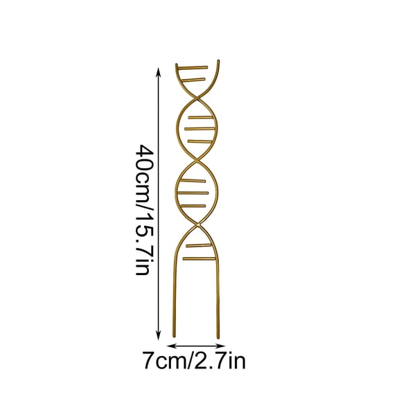 DNA Spiral Plant Trellis Indoor - Durable Metal Trellis for Potted Plants, Space-Saving Vertical Support for Climbing Growth Black 15.74in Height