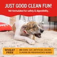 thumbnail image 6 of Stella & Chewy's Dental Delights with Freeze-Dried Chicken - Large Dental Treats for Dogs, 5.5 Ounce Bag, 6 of 8