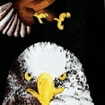 thumbnail image 2 of Eagle in Flight (Black) Necktie Mens Tie, 2 of 3
