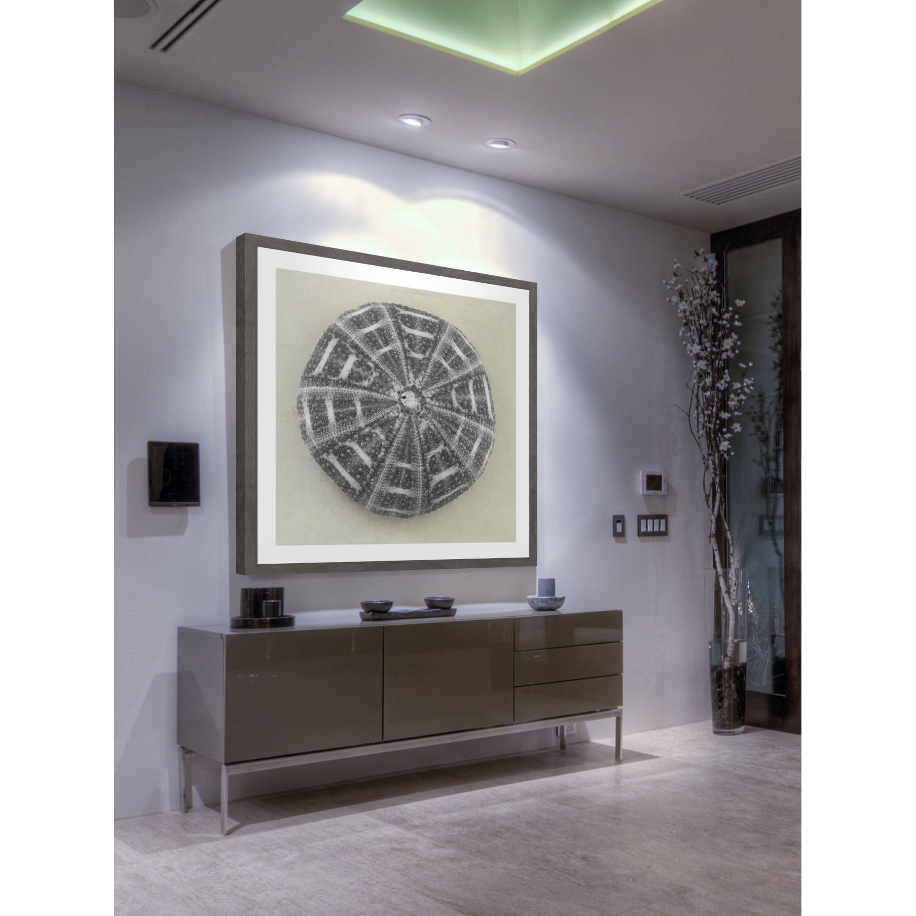 "Charcoal Sea Urchin" Framed Painting Print