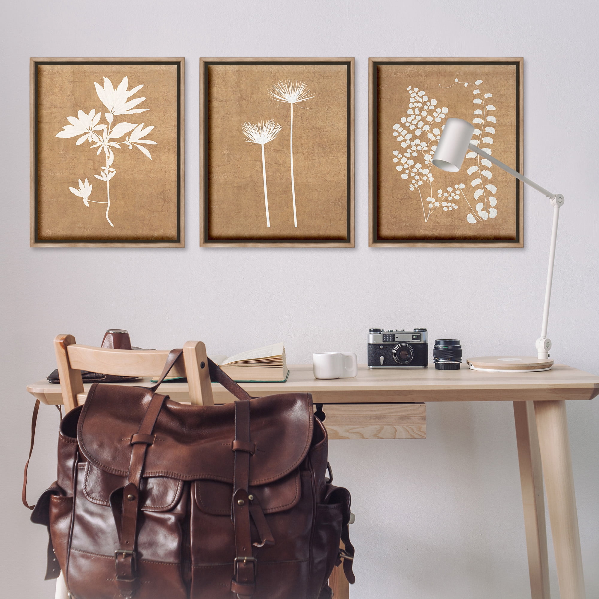 Stupell Industries Nature Botanical Silhouettes Botanical & Floral Painting Brown Floater Framed Canvas Art Print Wall Art, 25 x 31, Set of 3