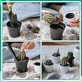 thumbnail image 3 of 50PCS/Set Garden New Plastic Breathable Prevent Soil Loss Flower Pot Hole Mesh Pad Bonsai Drainage Screens Flower Pot Gasket Flower Pot Bottom Mat DIAMETER 4.5CM, 3 of 7