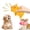 B, variant on Qocolcyl Cute Pig Grunting Squeaky Latex Dog Chew Toy, Squeeze Sound Pig Shape Puppy Teething Toy, Durable Soft Latex Interactive Play Toy For Small Medium Large Dogs Indoor Outdoor Dog Toys