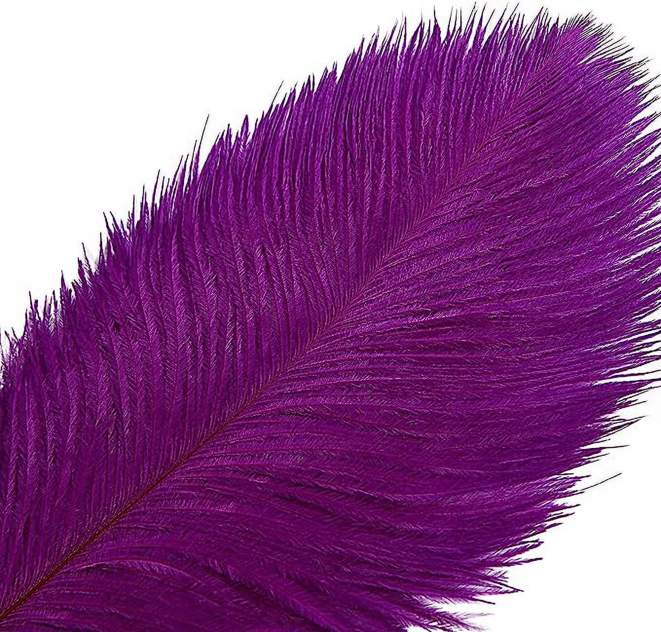 Namzi 12pcs Purple Ostrich Feathers Natural Bulk 16-18Inch 40cm-45cm for Wedding Party Centerpieces Easter Gatsby and Home Decorate Ostrich Feathers