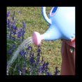thumbnail image 4 of Regadera de PláStico, Bonitas Plantas de JardíN para Interiores y Exteriores, Regadera de Juguete para NiñOs con Cabezal de Ducha, Elefante, 4 of 5