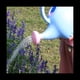 thumbnail image 4 of Regadera de PláStico, Bonitas Plantas de JardíN para Interiores y Exteriores, Regadera de Juguete para NiñOs con Cabezal de Ducha, Elefante, 4 of 5