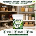 thumbnail image 3 of RPKPR 30PCS Rodent Repellent Balls, Natural Peppermint Oil Mouse Repellent for House Indoors, Safe for Pets, Mice & Rat Deterrent Tablets for Closet, Attic, Garage, Pantry, 3 of 9