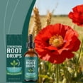 thumbnail image 3 of Rooting Hormone for Cuttings, Prop Drops, Plant Rooting Hormone, Propagation Drops for All Indoor Houseplants, 3 of 10
