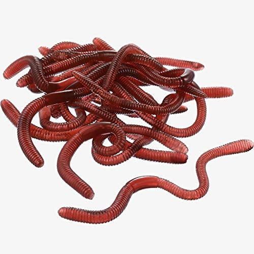 16 Pieces Fake Earthworm Plastic Lifelike Worm Soft Stretchy Rubber  Earthworms Trick Toy for Halloween April Fool's Day Party 